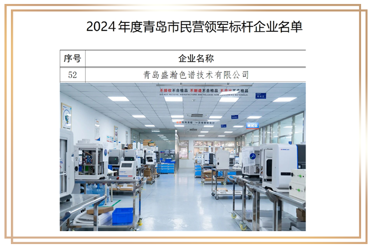 盛瀚获评2024年度青岛市民营领军标杆企业